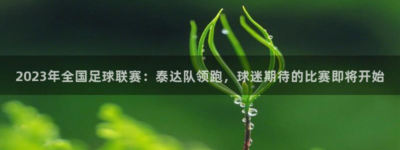  2023年全国足球联赛：泰达队领跑，球迷期待的比赛即将开始