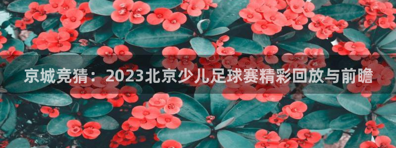  京城竞猜：2023北京少儿足球赛精彩回放与前瞻