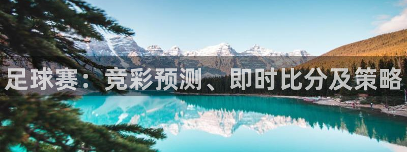 足球赛：竞彩预测、即时比分及策略
