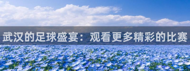 武汉的足球盛宴：观看更多精彩的比赛