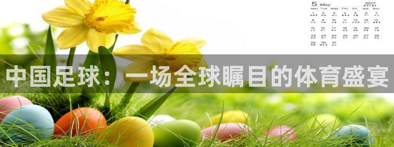 中国足球：一场全球瞩目的体育盛宴