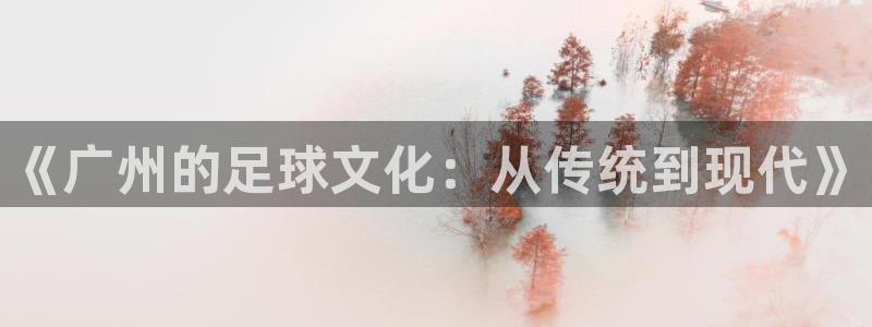 《广州的足球文化：从传统到现代》