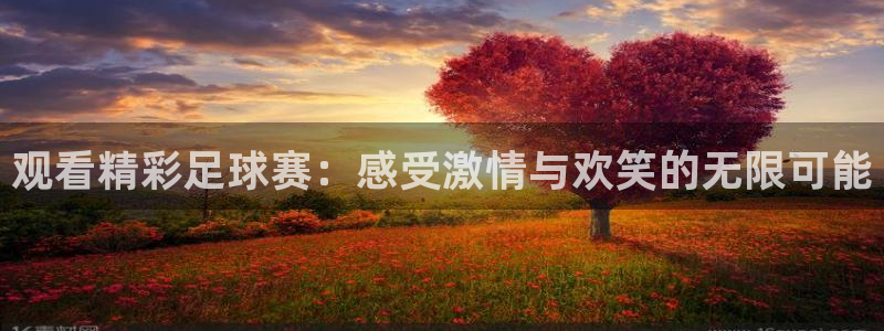  观看精彩足球赛：感受激情与欢笑的无限可能
