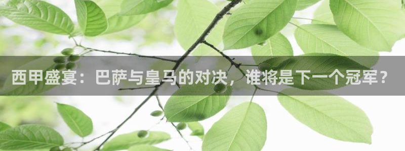 西甲盛宴：巴萨与皇马的对决，谁将是下一个冠军？