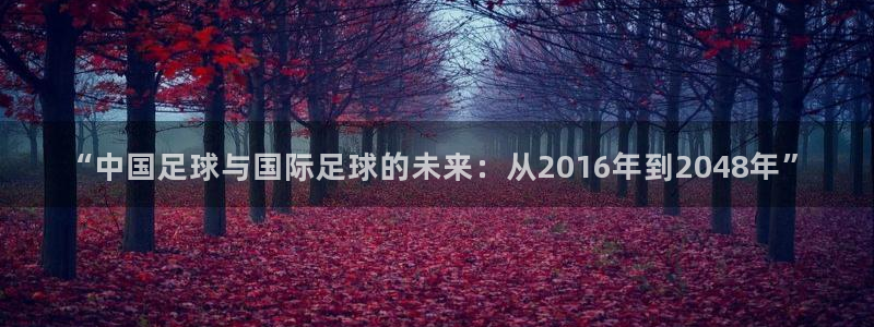“中国足球与国际足球的未来：从2016年到2048年”