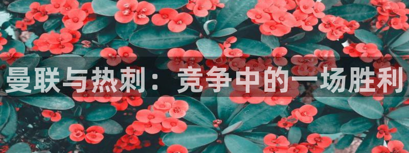 曼联与热刺：竞争中的一场胜利