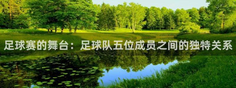  足球赛的舞台：足球队五位成员之间的独特关系