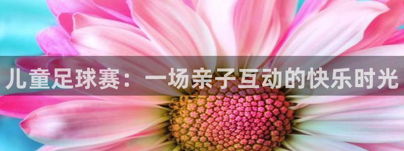  儿童足球赛：一场亲子互动的快乐时光