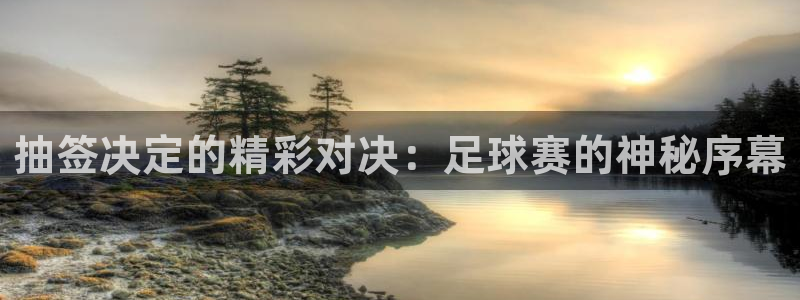  抽签决定的精彩对决：足球赛的神秘序幕