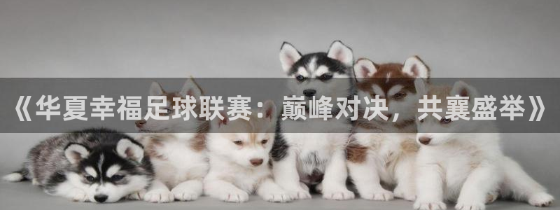  《华夏幸福足球联赛：巅峰对决，共襄盛举》
