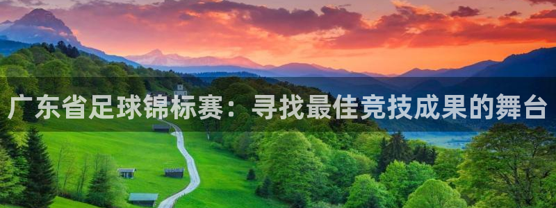 广东省足球锦标赛：寻找最佳竞技成果的舞台