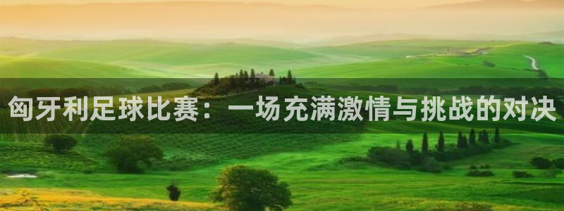 匈牙利足球比赛：一场充满激情与挑战的对决