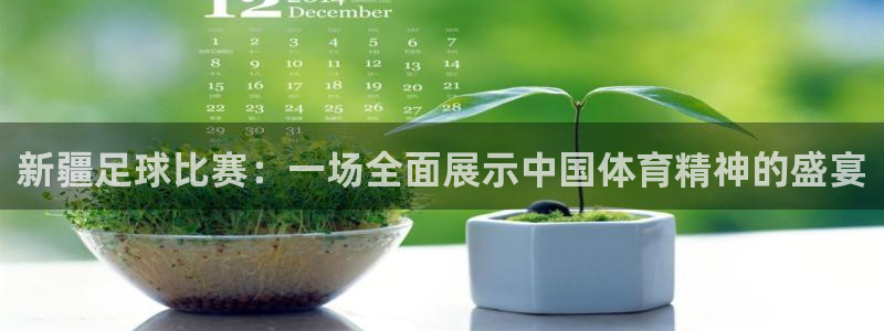  新疆足球比赛：一场全面展示中国体育精神的盛宴