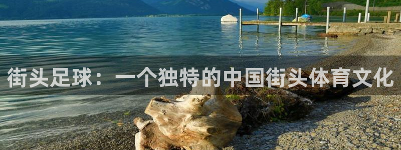 街头足球：一个独特的中国街头体育文化