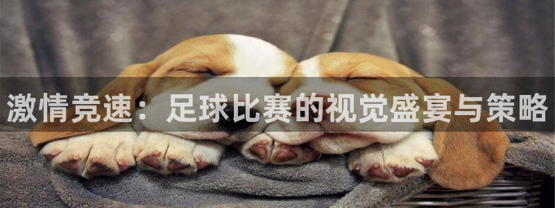 激情竞速：足球比赛的视觉盛宴与策略