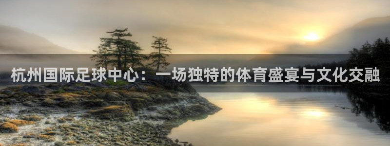 杭州国际足球中心：一场独特的体育盛宴