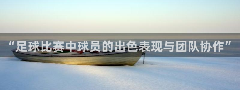 “足球比赛中球员的出色表现与团队协作