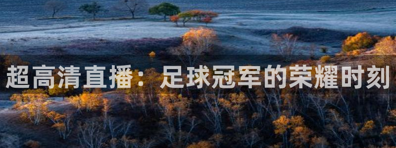 超高清直播：足球冠军的荣耀时刻