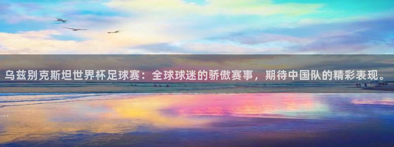 乌兹别克斯坦世界杯足球赛：全球球迷的