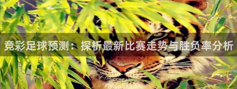 竞彩足球预测：探析最新比赛走势与胜负