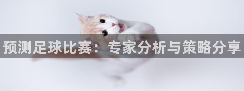 预测足球比赛：专家分析与策略分享