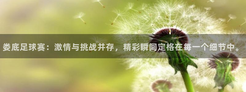 娄底足球赛：激情与挑战并存，精彩瞬间