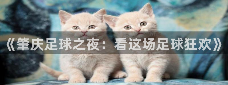 《肇庆足球之夜：看这场足球狂欢》