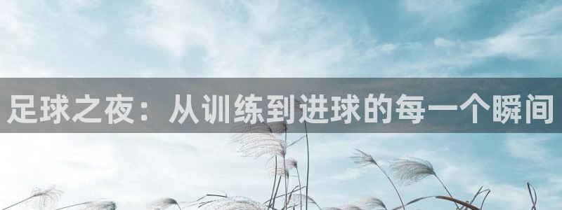 足球之夜：从训练到进球的每一个瞬间