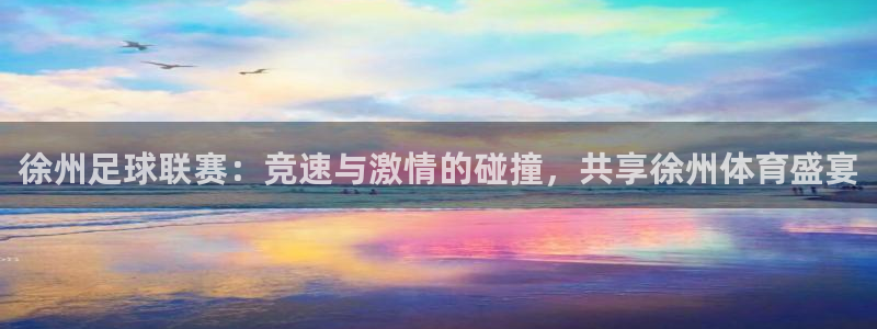 徐州足球联赛：竞速与激情的碰撞，共享徐州体育盛宴