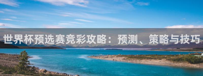 世界杯预选赛竞彩攻略：预测、策略与技