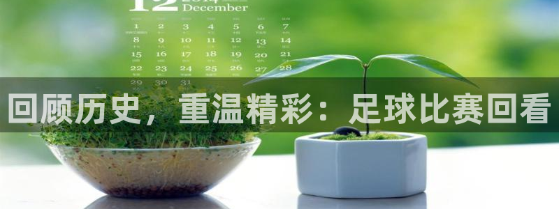  回顾历史，重温精彩：足球比赛回看