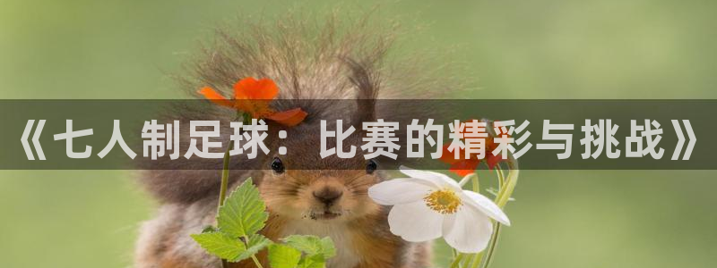  《七人制足球：比赛的精彩与挑战》