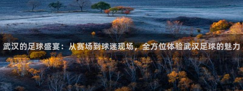 武汉的足球盛宴：从赛场到球迷现场，全