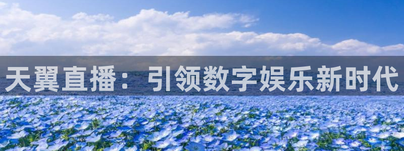 球友直播：天翼直播：引领数字娱乐新时代
