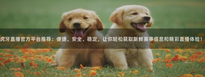 qy千亿球友体育：虎牙直播官方平台推荐：便捷、安全、稳定，让你轻松获取新鲜赛事信息和精彩直播体验！