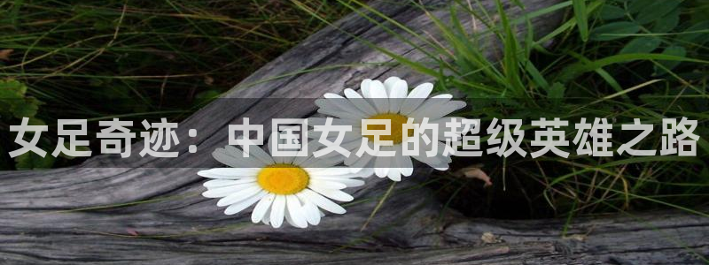 球友直播在线直播：女足奇迹：中国女足的超级英雄之路