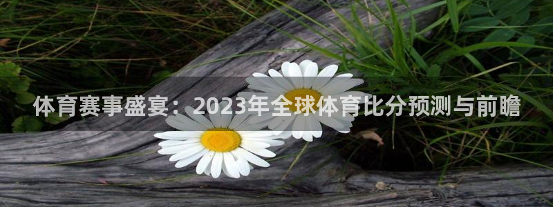 球友体育直播在线观看：体育赛事盛宴：2023年全球体育比分预测与前瞻