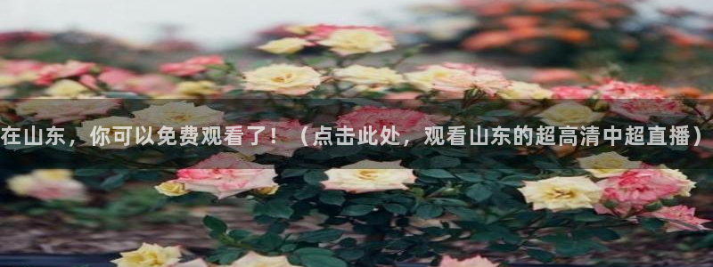 球友直播在线直播：在山东，你可以免费观看了！（点击此处，观看山东的超高清中超直播）