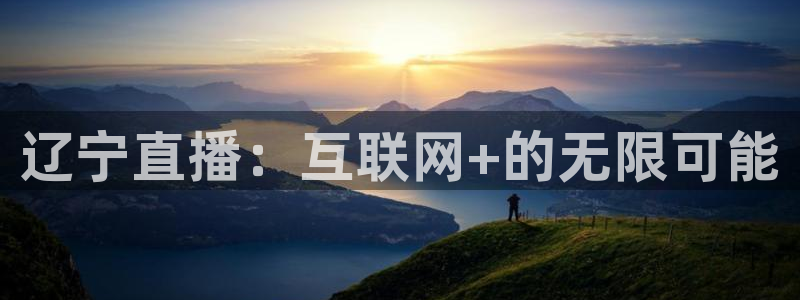 球友体育直播在线观看：辽宁直播：互联网+的无限可能